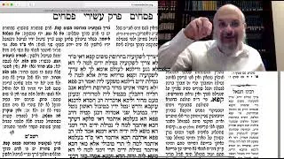 WASH'N'DIP & REPEAT | Talmud Pesachim 115a(3)/115b(1) | ערבי פסחים #179 | Rabbi Levi Y. New