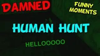 Damned Funny Moments