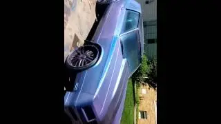 MonteCarlo ss colorflip plastidip