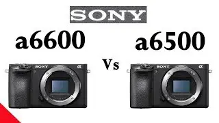 Sony a6600 vs Sony a6500