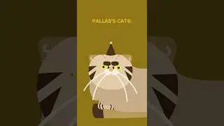 Normal Cats vs Pallas&rsquo;s Cats #animation