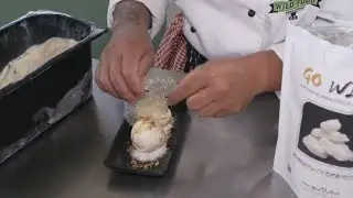 Chatham Islands couple creates unique honey product like nothing you&rsquo;ve ever seen before