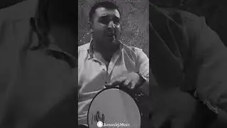 میلاد احمدی