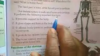 The Functions of Skeletal System : The Frameworks of bones is called Skeleton
