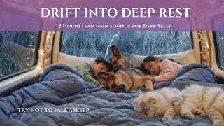 Rain Ambience in a Cozy Van | Soothing Sounds for Deep Sleep & Comfort