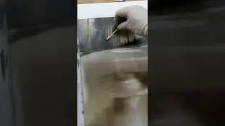 Marketa Kemp Painting a Monotype