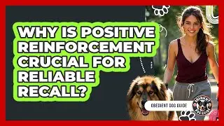 Why Is Positive Reinforcement Crucial For Reliable Recall? - Obedient Dog Guide