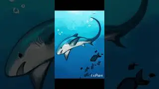 Thresher shark drawing #art #shark #digitalart #seacreatures #speedpaint #digitaldrawing