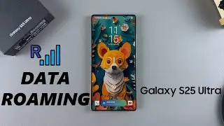 How To Enable / Disable Data Roaming On Samsung Galaxy S25 / S25 Ultra