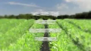 Agricultural Recruitment Specialists - Our Candidates