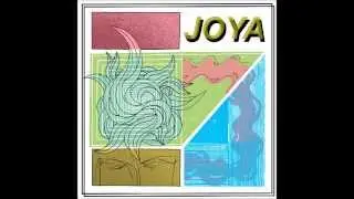 Seconds / JOYA Split LP Full Album Stream