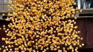 Thousands of rubber duckies race down the Chicago River for the Ducky Derby