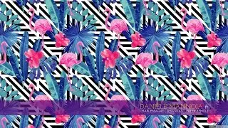 Daniele Mannoia - Charlemagne ( Sebastian Ledher Remix ) -★