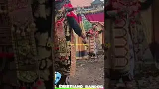 a cultura do passado e o presente