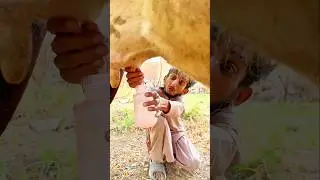Akhir aisa q kia #trending #shortfeed #ytshorts #viralvideo #emotional