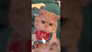 Только палочка для попкорна? Как скупо!