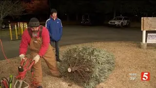 Nearly 100 Christmas trees stolen from Murfreesboro Boy Scout lot
