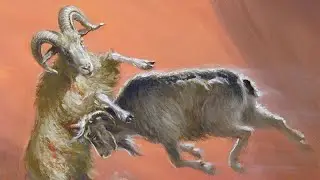Daniel 8a, The Ram and the Goat - David Clayton