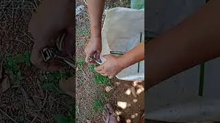 How to make grow bag at home