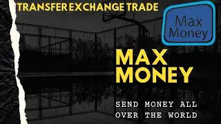 MAX MONEY DAILY REMITTANCE RATE 29 DECEMBER 2020