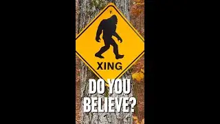 BIGFOOT: Do You Believe?