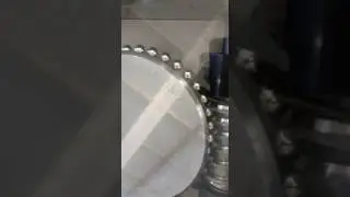 Worm Wheel with balls