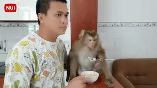 Dad takes good care of Nui when mom is sick | Nui Family