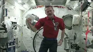Getting Sick in Space