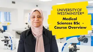 Medical Sciences BSc  - Course Overview | The University of Westminster
