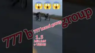 honda 125 VS honda 125 Alter bike race stunts 😱