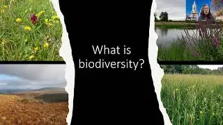 Lunchtime Lecture Series | Nature in Crisis