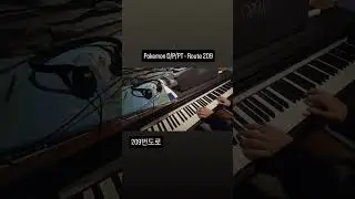Pokemon DPPT - Route 209 (포켓몬스터 다이아몬드/펄 - 209번도로) #piano #pianocover #pokemon #dppt #포켓몬 #4세대