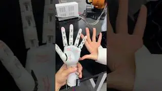 HIGH FIVE! Check the grabbing action of the Robots