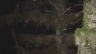 Bigfoot Sighting! Estacada, Oregon