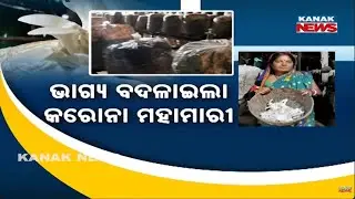 Driver to Lakhpati Mushroom Farmer! Jajpur Man's Success Story.