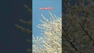 God&rsquo;s Plan for Your Future | Jeremiah 29:11 Motivation