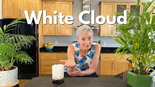 Tiki Cocktail with a Coconut Kiss | White Cloud
