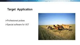 Chison 8300 VET Ultrasound Machine