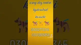 army dog centre emergency phone number karachi Hyderabad