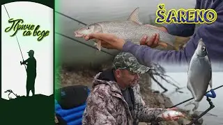 PRIČE SA VODE ep. 331 03.02.2026. ŠARENO