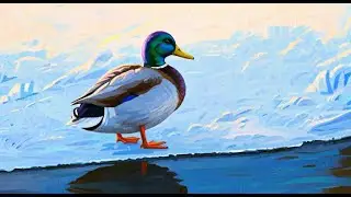 Winter Pond Watch 2025: Observing Ice Formations and Duck Adaptations