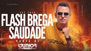 FLASH BREGA 2025 AS MELHORES  - SAUDADE 01 BY DJ JUNIOR PINHEIRO