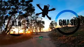 ● WING CHASE + FPV FREESTYLE | JM FPV ●