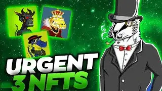 URGENT! 3 SOL NFTS NOT TO MISS IN 2022! TOP SOLANA NFT PROJECTS FOR WILD GAINS!