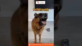 FFFHomes
