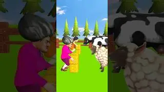 Funny Animals and the Scary Teacher 👍🐮
