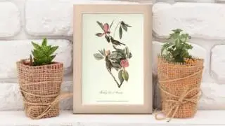Framed Earthy Chic Art I Decorating Ideas I FRAMED ART TV