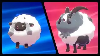 WOOLOO EVOLVED INTO DUBWOOL (POKEMON SHIELD)