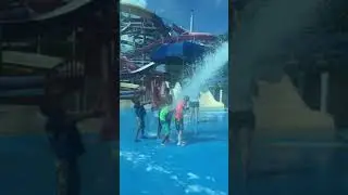 SplashKingdom
