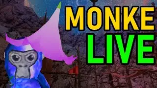 mnke monke monke | Gorilla Tag VR LIVE
